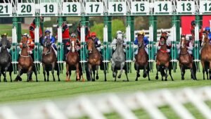 Melbourne Cup 2025 barrier draw results, numbers, full field with barrier numbers, horses, Half Yours